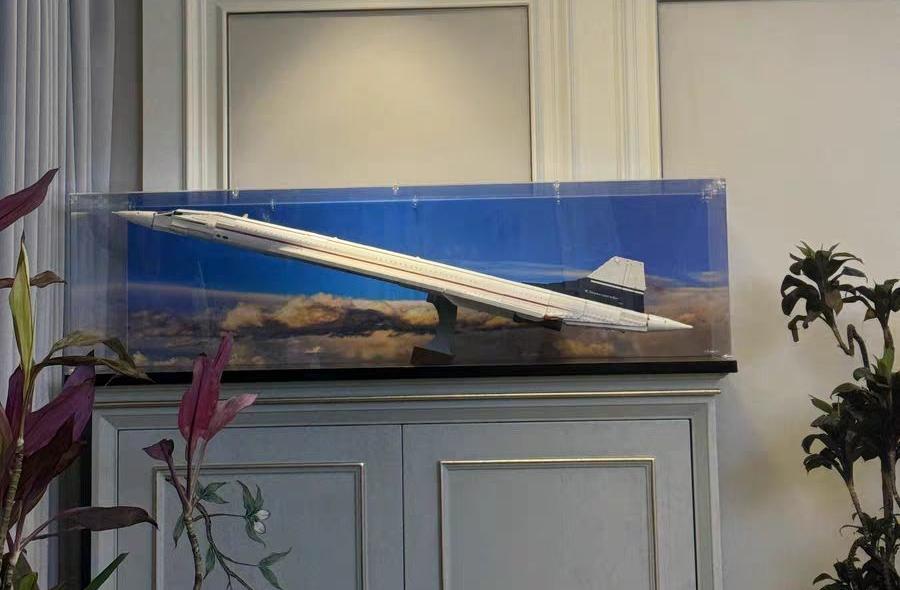 The Complete Guide to LEGO Display Cases