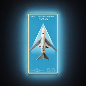 Wall Display Frame for LEGO® Icons Shuttle Carrier Aircraft 10360 | 50 × 115 cm