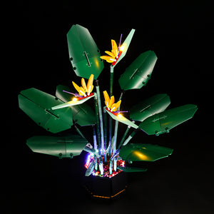 Light Kit Compatible with LEGO® Bird of Paradise Set 10289