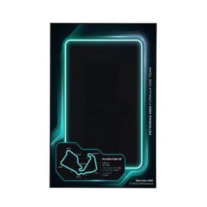 Premium Wall Display for LEGO® Mercedes-AMG F1 42171 Style C