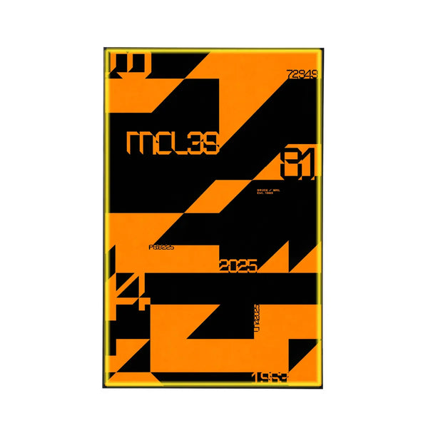 Wall Display Frame Compatible with LEGO® McLaren MCL39 F1® Car 42228 | Style F