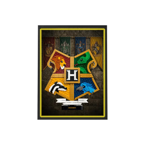 Wall Display Frame for Lego® Hogwarts™ House Crest 76462
