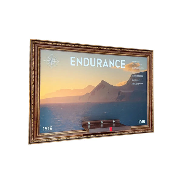 Wall Mount Display Frame for LEGO® The Endurance 10335