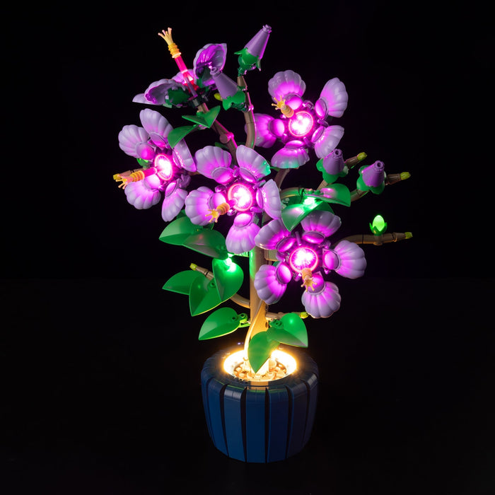 LED light kit compatible with LEGO® Hibiscus Set #10372 — product photo 3