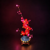 LED light kit compatible with LEGO® Plum Blossom Set #10369 — product photo 5