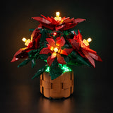 LED light kit compatible with LEGO® Poinsettia Set #10370 — product photo 1