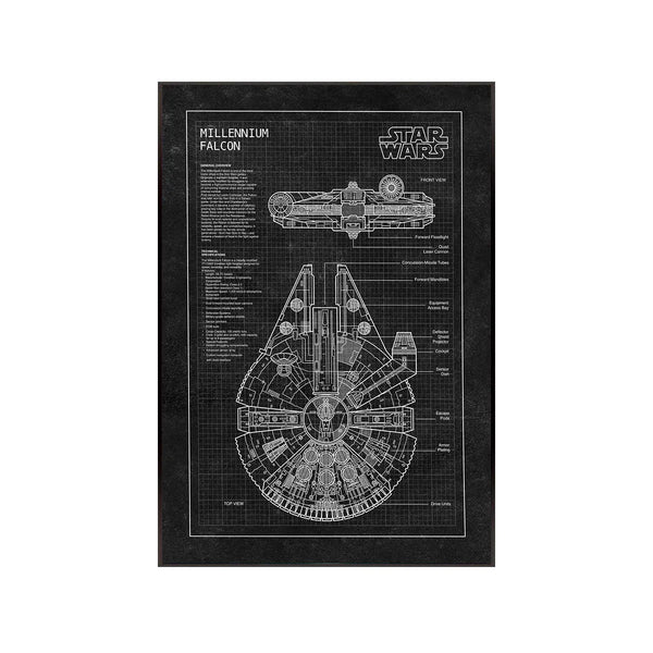 LEGO® Star Wars™ Millennium Falcon™ Wall Display Frame 75257 Style C - brkox