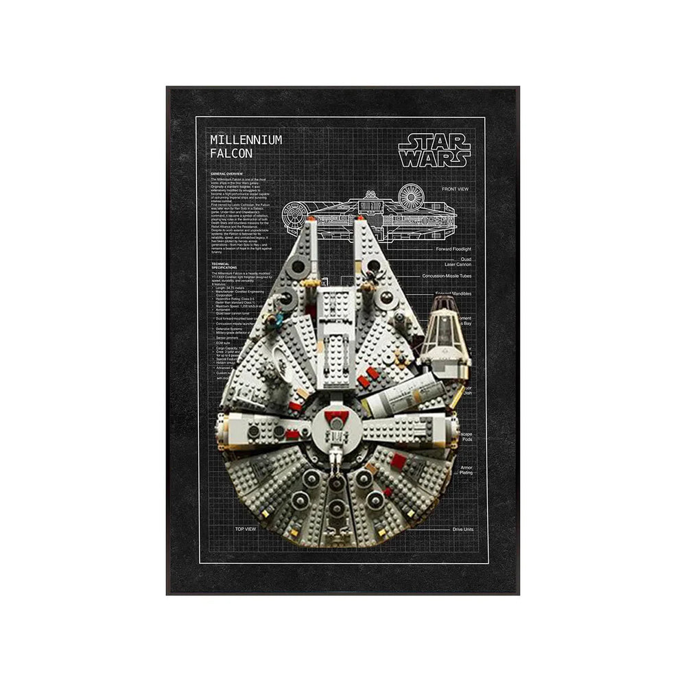 LEGO® Star Wars™ Millennium Falcon™ Wall Display Frame 75257 Style C - brkox