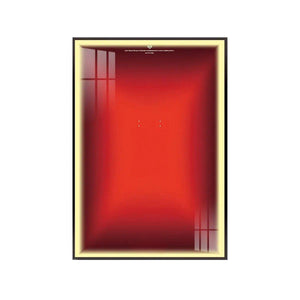 Premium Wall Display Frame for LEGO® Technic™ Ferrari Daytona SP3 42143 - brickzonehub