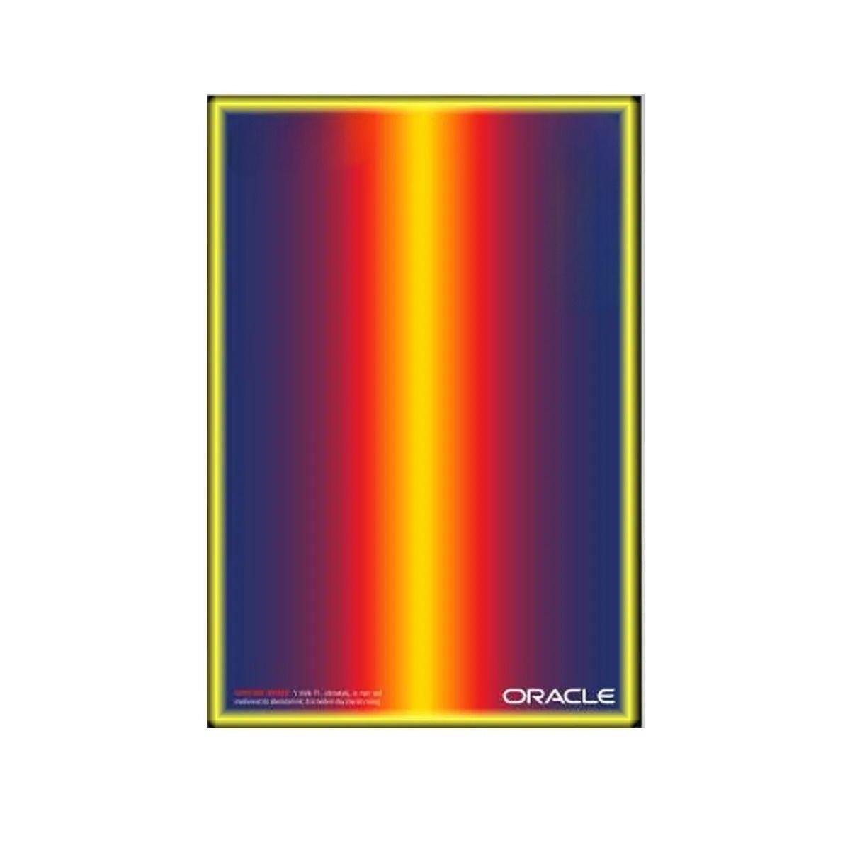 Wall Display Frame Compatible with LEGO® 42206 Red Bull RB20 Style C