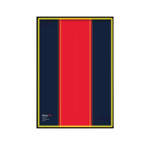 Wall Display Frame for LEGO® Technic™ Oracle Red Bull Racing RB20 F1 Car 42206 | Style C